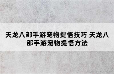 天龙八部手游宠物提悟技巧 天龙八部手游宠物提悟方法